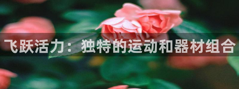 征途国际招商电话号码查询是多少:飞跃活力:独特的运动和器材组