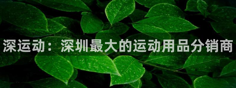 征途国际开户:深运动:深圳最大的运动用品分销商
