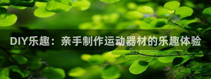 征途国际官方:DIY乐趣:亲手制作运动器材的乐趣体验