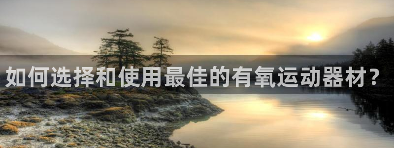 征途国际娱乐平台:如何选择和使用最佳的有氧运动器材?