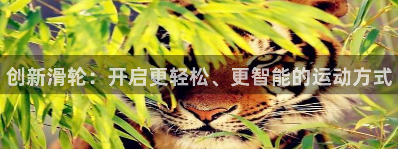 注册征途国际:创新滑轮:开启更轻松、更智能的运动方式